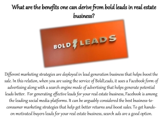 What are the benefits one can derive from BoldLeads in real estate business?