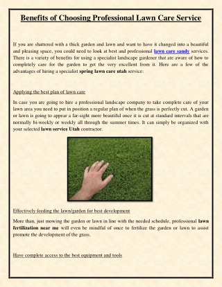 Benefits of Choosing Professional Lawn Care Service
