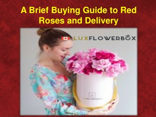 A Brief Buying Guide to Red Roses and Delivery