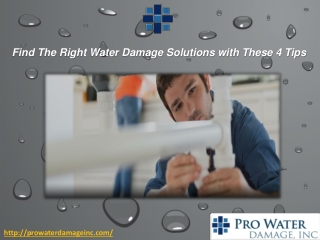 Water Damage Buena Park CA