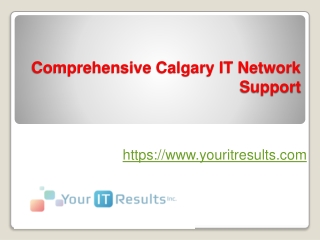 Comprehensive Calgary IT Network Support