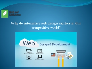 Why do interactive web design matters in this competitive world?