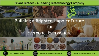 Prions Biotech – A Leading Biotechnology Company