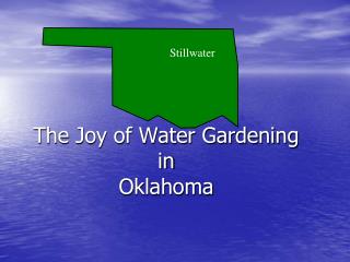 The Joy of Water Gardening in Oklahoma