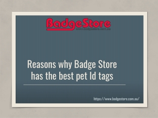 Reasons why Badge Store has the best pet Id tags