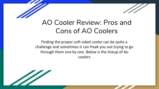 AO Cooler Review