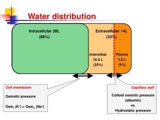 Water distribution