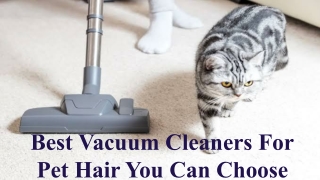 Best Vacuum Cleaners For Pet Hair You Can Choose