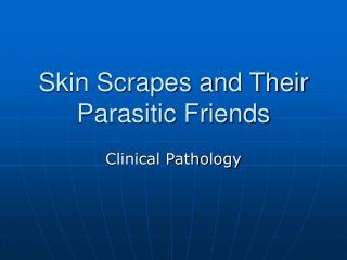 Skin Scrapes and Their Parasitic Friends