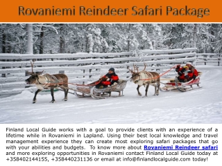 Rovaniemi Reindeer Safari Package