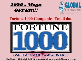 Fortune 1000 Companies Email data