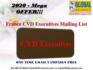 France CVD Executives Mailing List