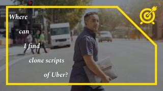 Where can I find clone scripts of Uber?