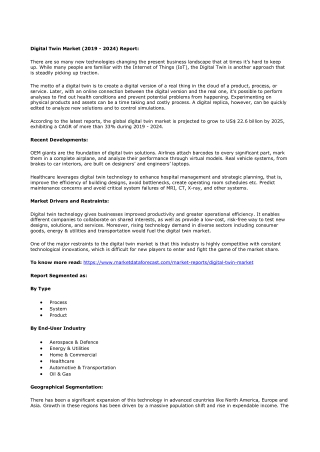 Digital Twin Market Analysis Report (2019 - 2024)