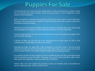 Puppies For Sale