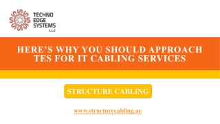 Here’s Why You Should Approach TES For IT Cabling Services