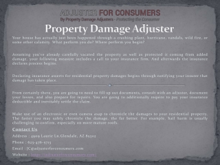 Property Damage Adjuster