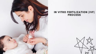 In Vitro Fertilization (IVF)