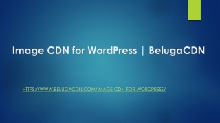 Image CDN for WordPress