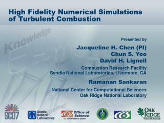 High Fidelity Numerical Simulations of Turbulent Combustion