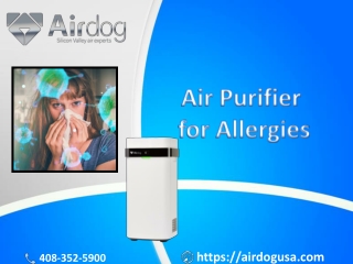 Buy best Air Purifier for Allergies and bacteria - Airdog USA