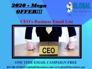 CEO's Business Email List