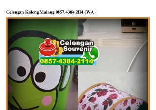 Celengan Kaleng Malang 0857–4384–2114[wa]