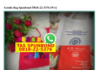 Goodie Bag Spunbond Ô818_22_5376[wa]