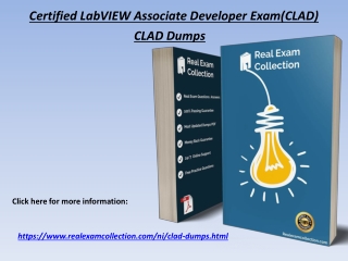 2020 Latest NI CLAD Exam Questions - NI CLAD Dumps