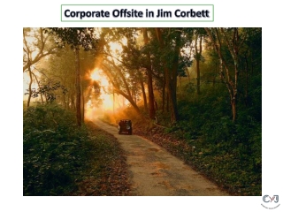 Corporate Offsite Destination From Delhi – Corporate Events in Jim Corbett