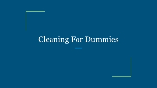 Cleaning For Dummies