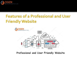 Features of a Professional and User Friendly Website
