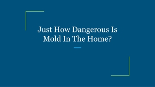 Just How Dangerous Is Mold In The Home?