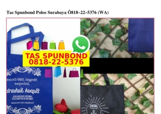 Tas Spunbond Polos Surabaya 0818–22–5376[wa]