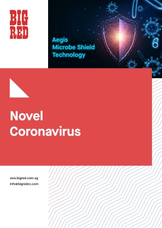 Big Red Singapore - Novel Coronavirus
