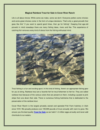Magical Rainbow Trout for Sale in Cover River Ranch