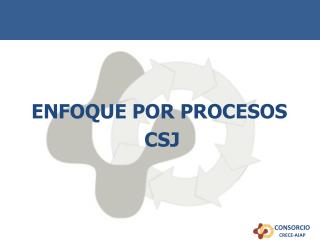 ENFOQUE POR PROCESOS CSJ