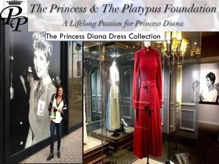 The Princess Diana Dress Collection