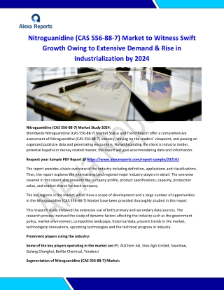 World Nitroguanidine (CAS 556-88-7) Market Research Report 2024
