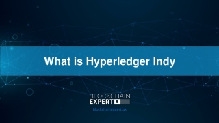 what is hyperledger indy