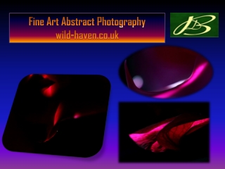 Fine Art Nature Abstract Photography