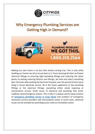 Emergency Plumbing Services in High Demand