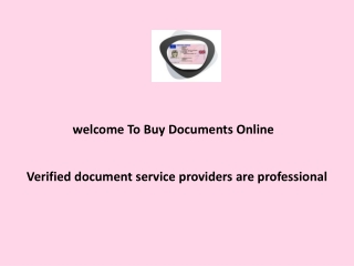 Verified document service providers are professional