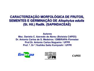 CARACTERIZAÇÃO MORFOLÓGICA DE FRUTOS, SEMENTES E GERMINAÇÃO DE Allophylus edulis (St. Hil.) Radlk. (SAPINDACEAE)