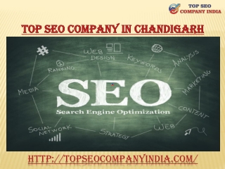 Which company in Chandigarh is best for SEO services?