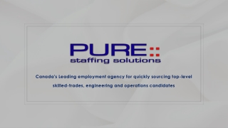 Pure Staffing Solutions | Permanent & Temporary Jobs in Canada