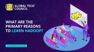 What Are The Primary Reasons To Learn Hadoop?
