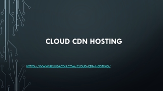 Cloud CDN Hosting | BelugaCDN
