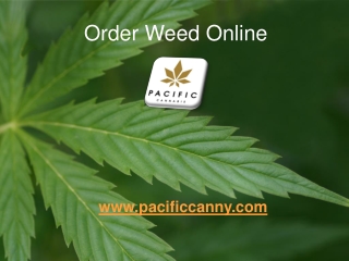 Order Weed Online - Pacific Canny