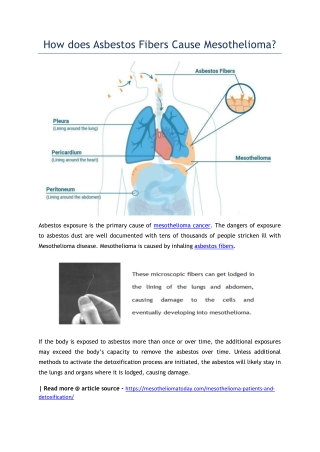 How does Asbestos Fibers Cause Mesothelioma?